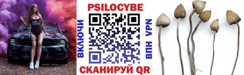 Псилоцибиновые грибы мухоморы  продажа наркотиков  Чудово 