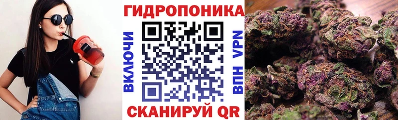 Шишки марихуана планчик Чудово